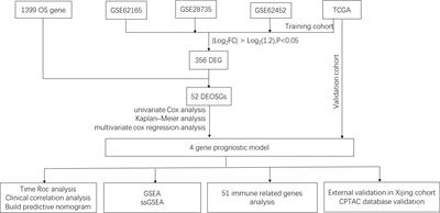 A four oxidative stress gene prognostic model and integrated immunity-analysis in pancreatic adenocarcinoma